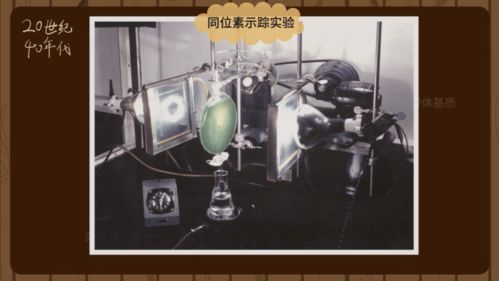 光合作用的原理 農(nóng)諺里的智慧