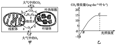 小麥植株進行光合作用和呼吸作用的最適溫度分別為25℃和30℃。下圖甲為小麥葉肉細胞中的部分代謝示意圖;圖乙是在CO2濃度一定、環境溫度為25℃、不同光照強度條件