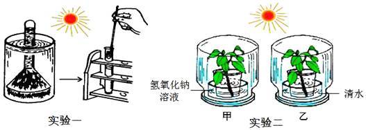 某學校生物科技活動小組的同學們對&ldquo;環境因素對光合作用強度的影響&rdquo;,設計了如下A、B兩組實驗: